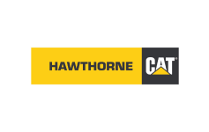 Hawthorne Cat